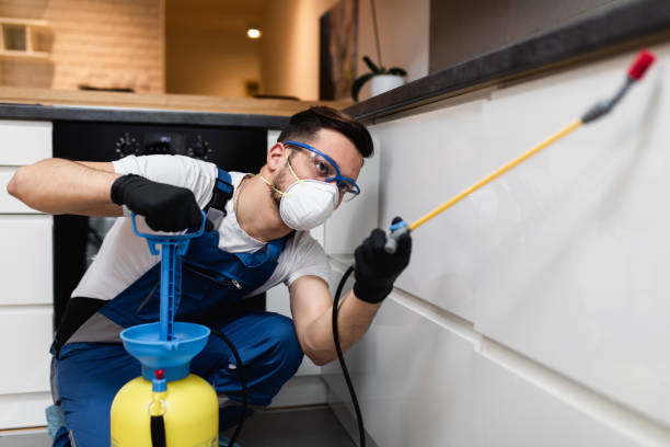 Best Wasp Removal Services  in Mechanicsburg, OH