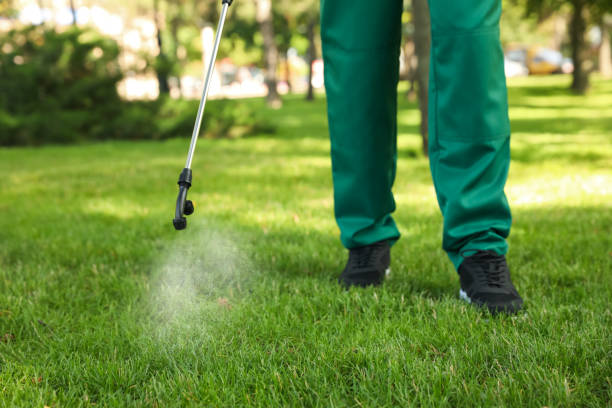 Best Rodent Control Near Me  in Mechanicsburg, OH