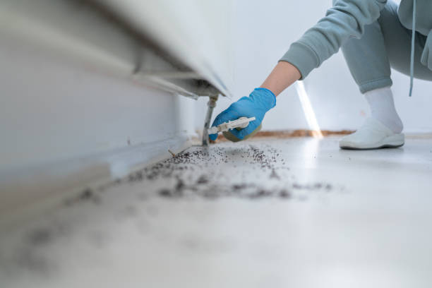 Trusted Mechanicsburg, OH Pest Control Experts